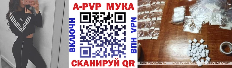 Альфа ПВП СК Альметьевск