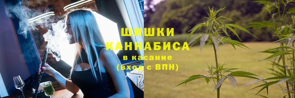 стафф Майский