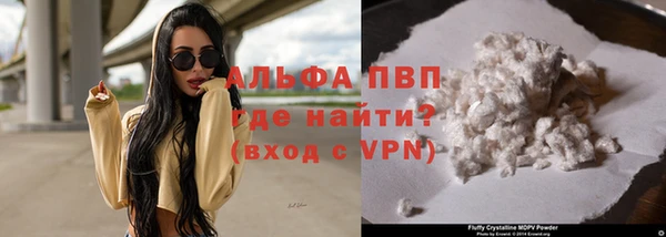 стафф Майский