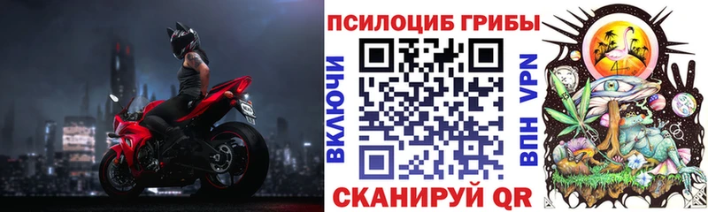 Псилоцибиновые грибы мицелий  Альметьевск 