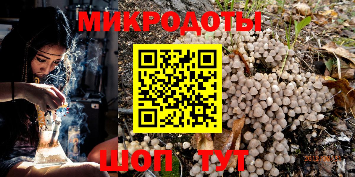 Галлюциногенные грибы Psilocybe  Вход с VPN  Альметьевск 
