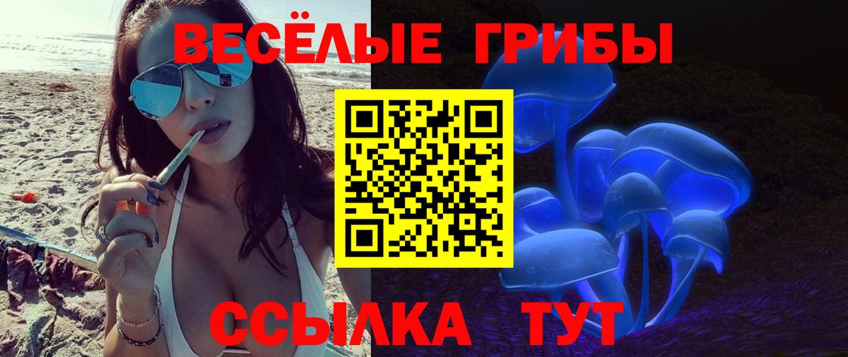 Псилоцибиновые грибы мицелий  как найти закладки  Псилоцибиновые грибы GOLDEN TEACHER  Альметьевск 